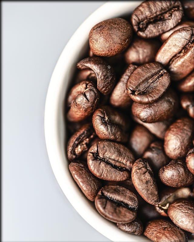 The Cost of Starting a Coffee Business: What You Need to Know