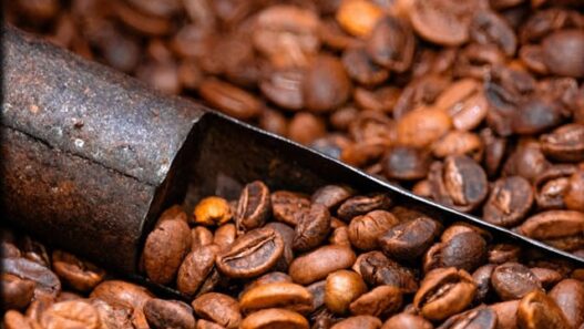 How Climate Change is Affecting Coffee Production