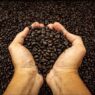 The Best Water Temperature for Brewing Coffee (And Why It Matters)